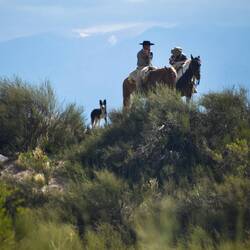 Richtig. Es ist hier auf dem Hochplateau der einzige Ort mit Handyempfang