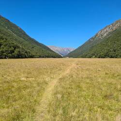 Ein erster Vorgeschmack auf die kommende Graslandschaft