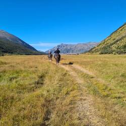 Leider wurde ich nicht mit einem Howdy Parrrtner begrüßt, die Pferde waren trotzdem schön