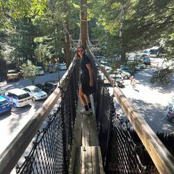 Redwoods Treewalk