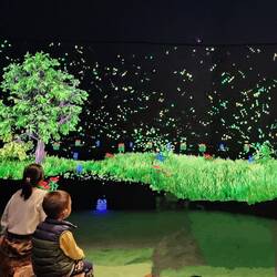 Interactive art installation exhibition "Perceptual and Intellectual—Explorations into Everything"