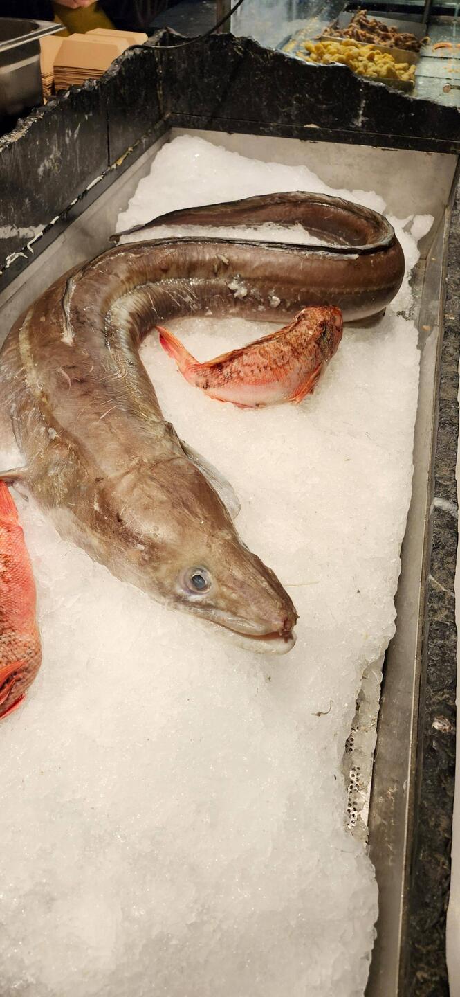 Too busy eating to take pics. But this guy caught my eye.