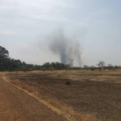 Die Rauchwolke des Brandes von Weitem