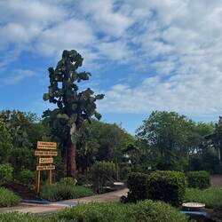 Charles Darwin Research Station