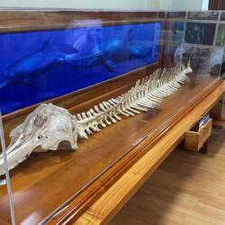 Charles Darwin Research Station