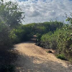 Auf dem Weg zum "Playa la Ratonera"