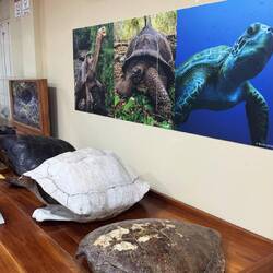 Charles Darwin Research Station