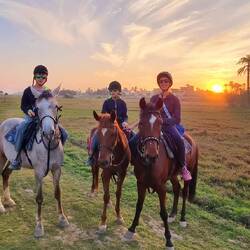 Balade à cheval sur les rives du Nile