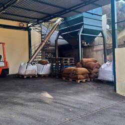 In den Säcken warten Oliven auf die Weiterverarbeitung