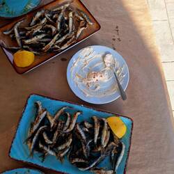 Gegrillte Sardellen, auch mega gut