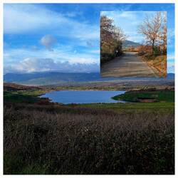 Megalopolis-See und trockene Eichen