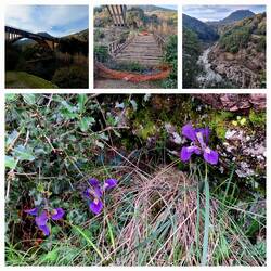 Old Karytaina Bridge (unterhalb), oberhalb die neue Brücke🌉