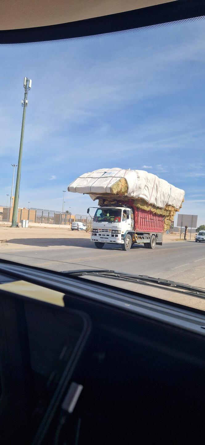 Die Marokkaner sind wahre Packkünstler