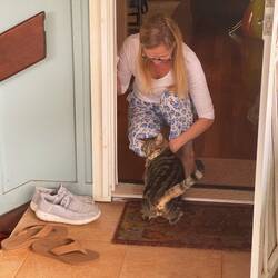 An early morning visitor