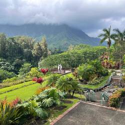 not the worst spot on the planet to get married