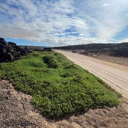 Rückweg nach Corralejo