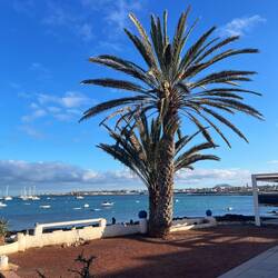 Ein letzter Blick auf das schöne Panorama