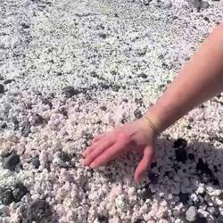 Unglaubliches Naturphönomen