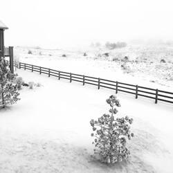 Aftermath of yesterday's snow event — Colorado Springs, CO.
