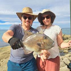 Kräftige Triggerfische bringen unser altes Angelmaterial an die Grenze.