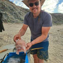 Mehr Platz für Filets haben wir nicht im Kühlschrank.