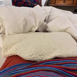 A little treat in our bed at night