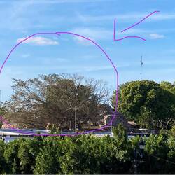 Einfach so in der Stadt.