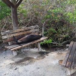 Just what benches are made for.
