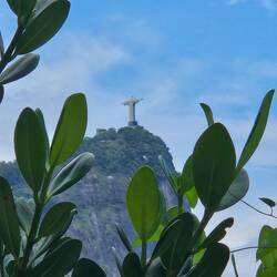 Christ the Redeemer as viewed from the botanical gardens.