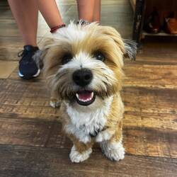 Our friend Milo