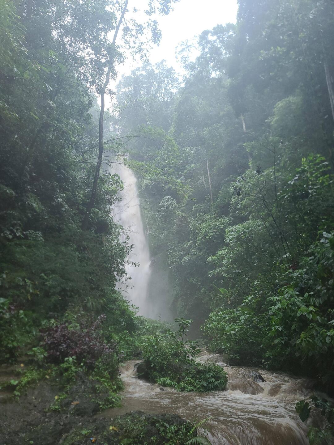 Melanting Fall