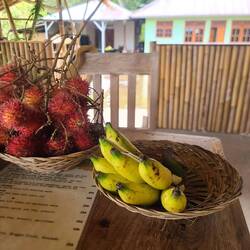 Noch mehr Obst hat er mir gebracht. 😍🙏🏿