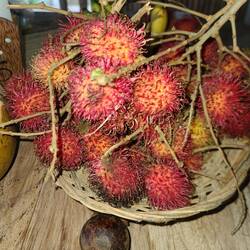 Rambutan ! Sehr lecker 😋😋 ähnlich wie Litschi. Aber viel größer !!