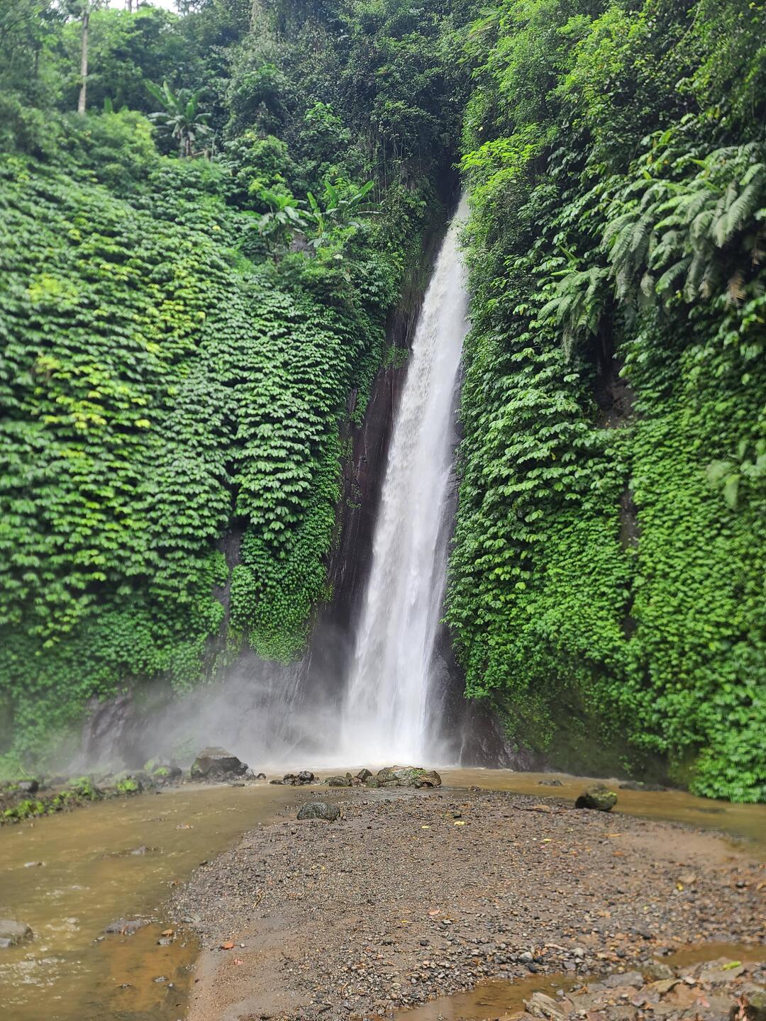 Coral Waterfall