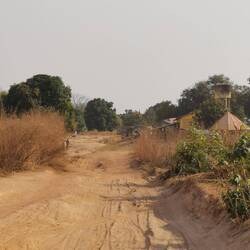 Am Ende des Niemandslandes - Die Grenzkontrolle zu Guinea ist in Sicht