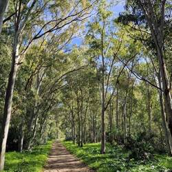 Wald! Endlich Wald! 🫶