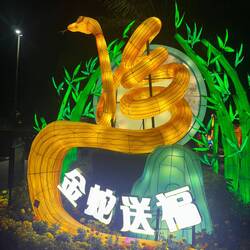 Das Jahr der Schlange 🐍