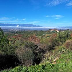 Nebel, Rauch und Dampf vom Kraftwerk