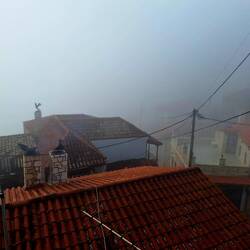 Blick in den Nebel 🌫