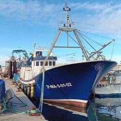 Spaziergang zum Fischereihafen