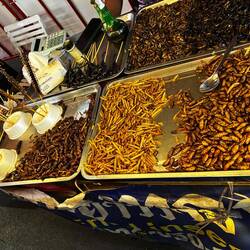 Und kleines Krabbelfieh