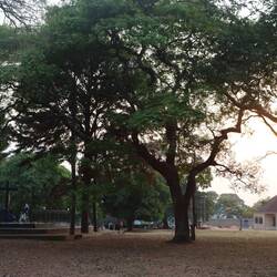 Am frühen Morgen am Kloster