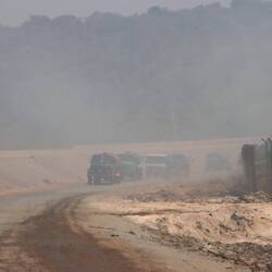 ...durch die brennenden Abfälle an der Straße