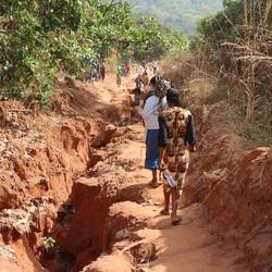 Die Pilgergruppe macht sich auf den Weg
