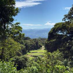 Costa Ricas viktigaste fornminne. Här bodde ca 1000 människor. Långt före vår tideräkning.