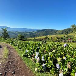 Utsikt från hotellets baksida (vårt rum).