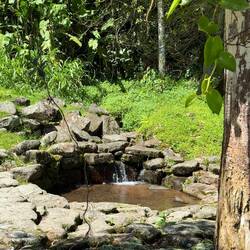 En källa byggd för över 1000 år sedan!