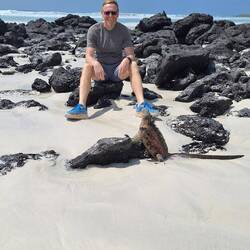 The marine iguanas really liked this beach.