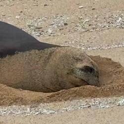 Entspannter geht nicht 💤