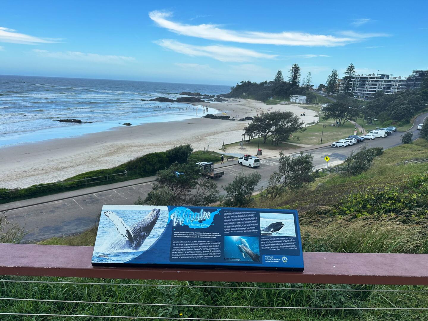 The view from the lookout on the headland.